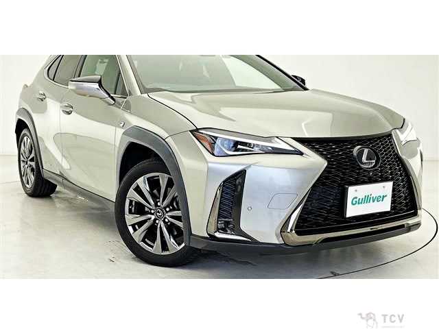 2019 Lexus Other
