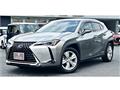 2019 Lexus Other