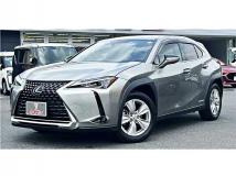2019 Lexus Other