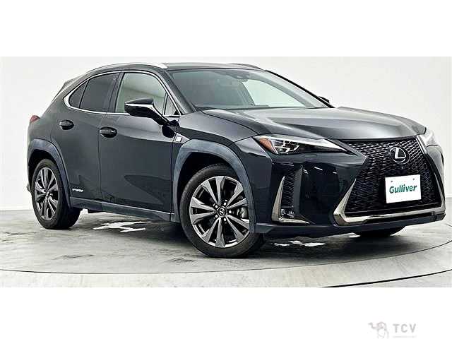 2019 Lexus Other