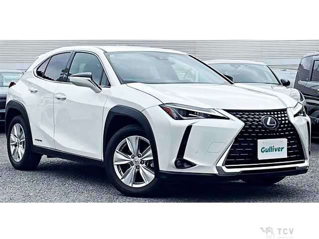 2019 Lexus Other