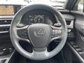 2019 Lexus Other
