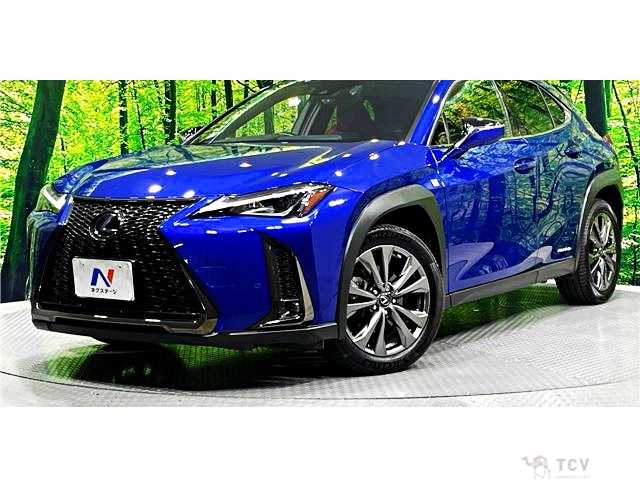 2019 Lexus Other