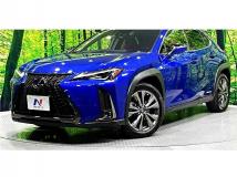 2019 Lexus Other