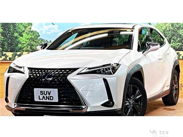2019 Lexus Other