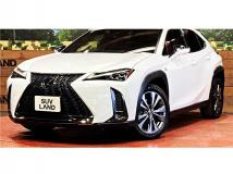 2019 Lexus Other