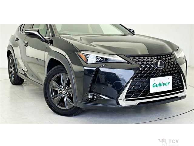 2019 Lexus Other