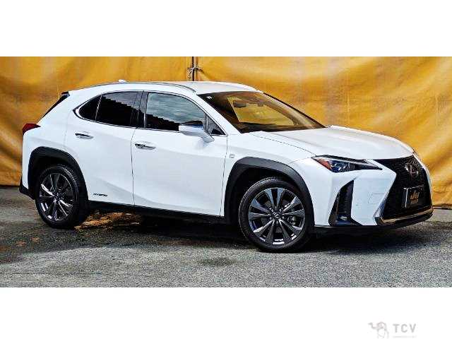 2019 Lexus Other