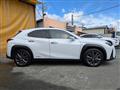 2019 Lexus Other