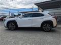 2019 Lexus Other