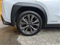 2019 Lexus Other