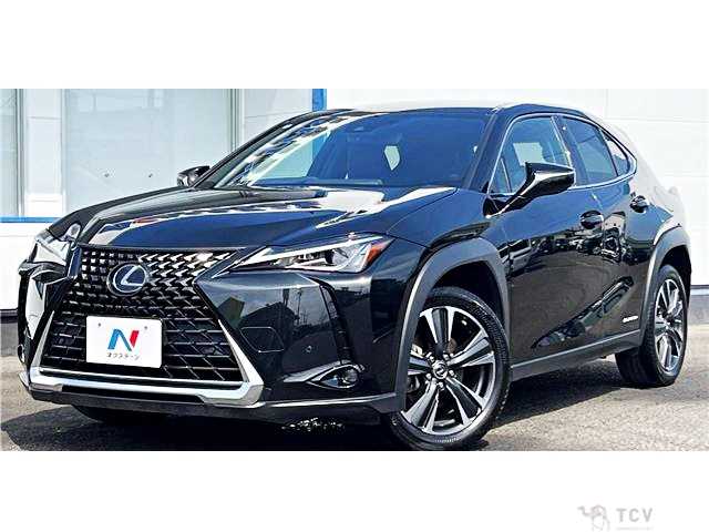 2019 Lexus Other