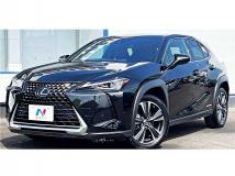 2019 Lexus Other