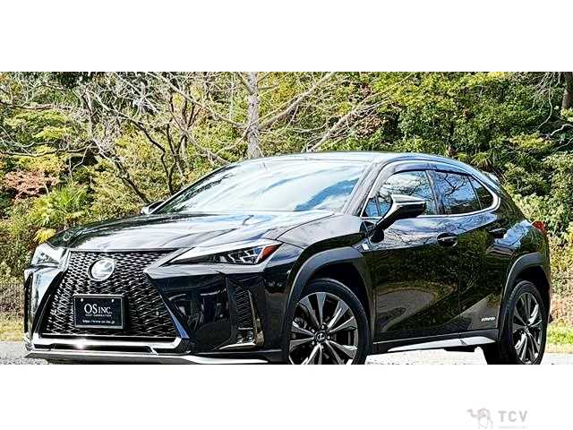 2019 Lexus Other