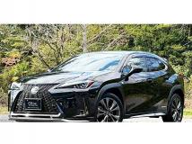 2019 Lexus Other