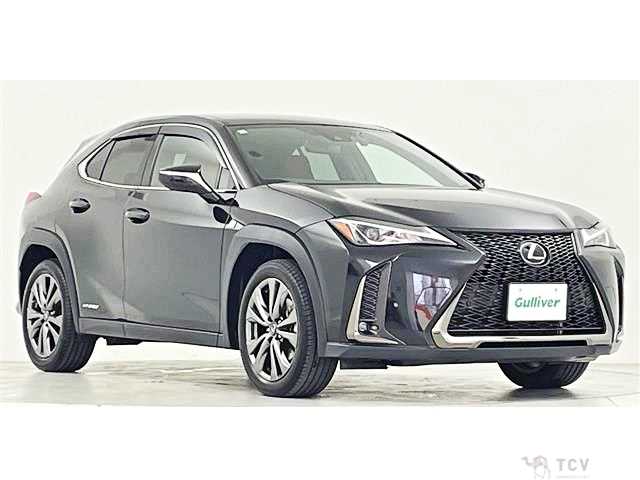 2019 Lexus Other
