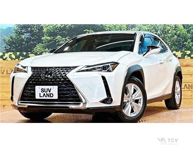 2019 Lexus Other