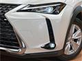 2019 Lexus Other