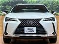 2019 Lexus Other