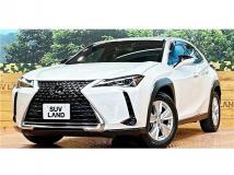 2019 Lexus Other