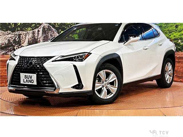 2019 Lexus Other