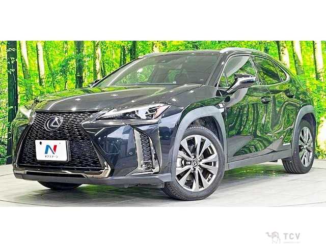 2019 Lexus Other