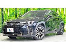 2019 Lexus Other