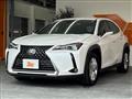 2019 Lexus Other