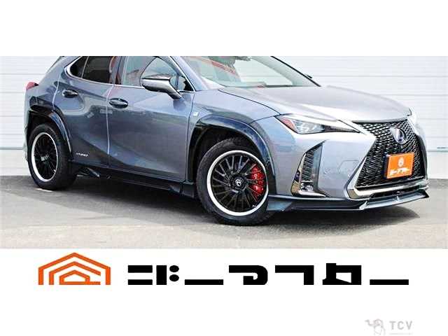 2019 Lexus Other