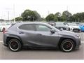 2019 Lexus Other