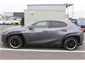 2019 Lexus Other