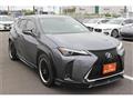 2019 Lexus Other