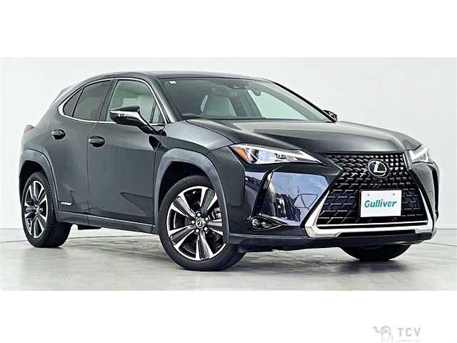 2019 Lexus Other