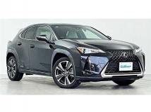 2019 Lexus Other