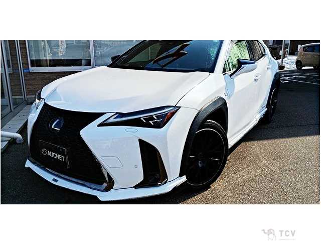 2019 Lexus Other