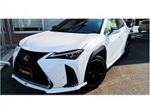 2019 Lexus Other