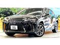2019 Lexus Other