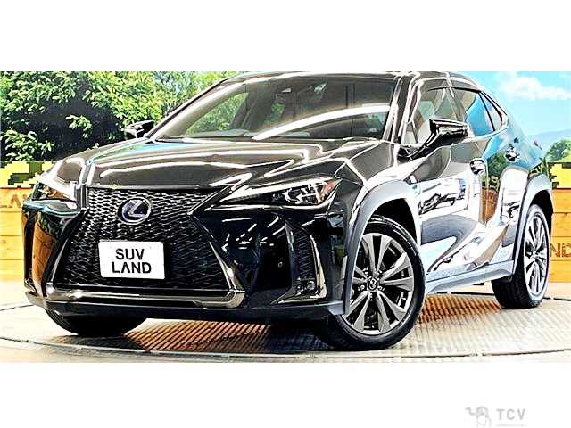 2019 Lexus Other