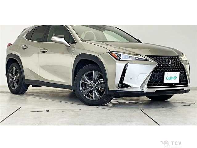 2019 Lexus Other