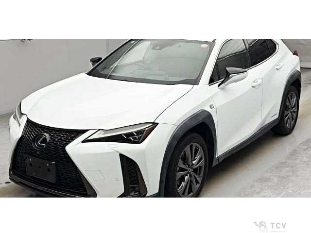 2019 Lexus Other
