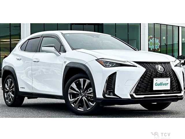 2019 Lexus Other