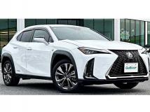 2019 Lexus Other