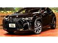 2019 Lexus Other