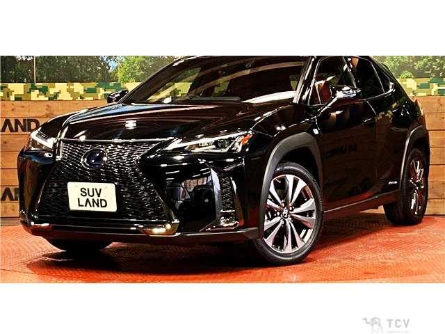 2019 Lexus Other