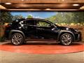 2019 Lexus Other