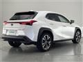 2019 Lexus Other