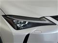 2019 Lexus Other