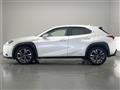 2019 Lexus Other