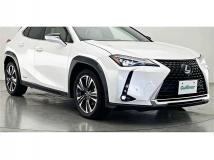 2019 Lexus Other
