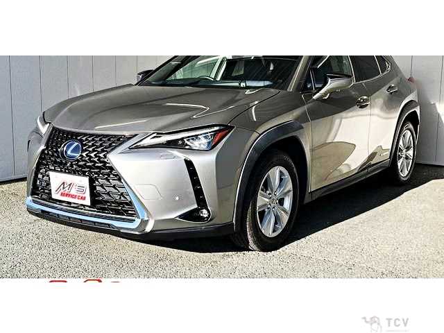 2019 Lexus Other